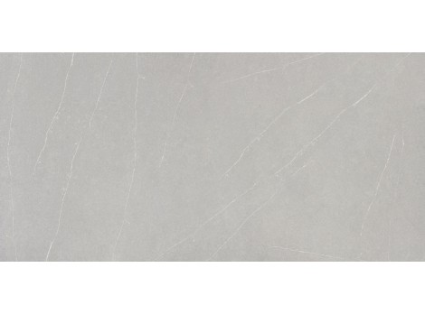 Eternal Serena - Finition Quartz Silestone suede