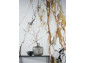 Paonazzo Biondo Finition Polished - Xtone Porcelanosa